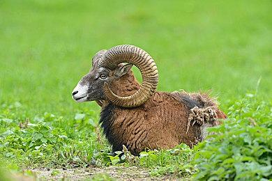 10月上旬Xbox Game Pass名单公布 《师父》领衔