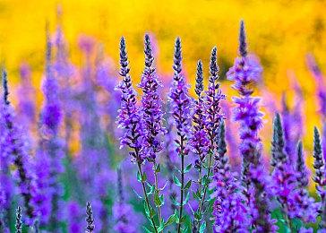 G胖谈亿万富翁和普通人之间的区别：泼天的运气