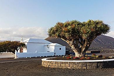 微软公布2022年1月Xbox金会员免费游戏名单